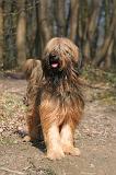BRIARD 212